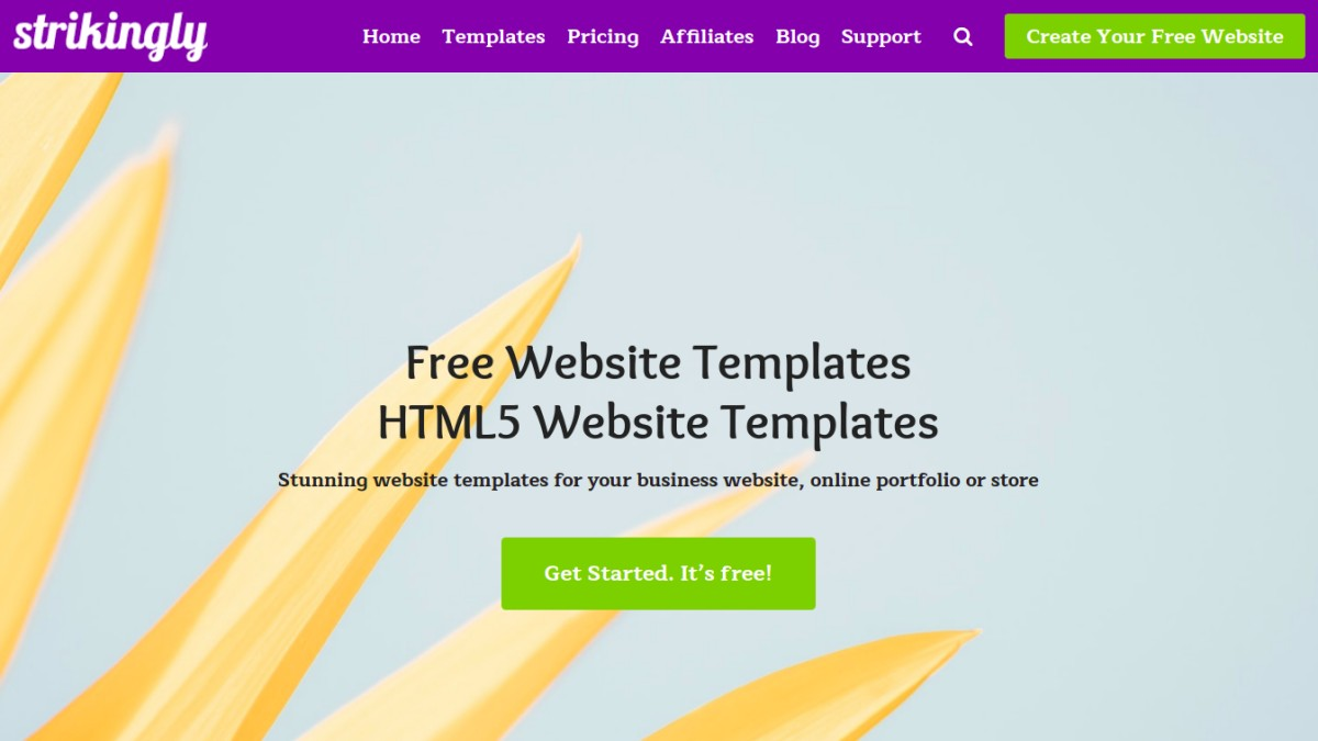 website template website template